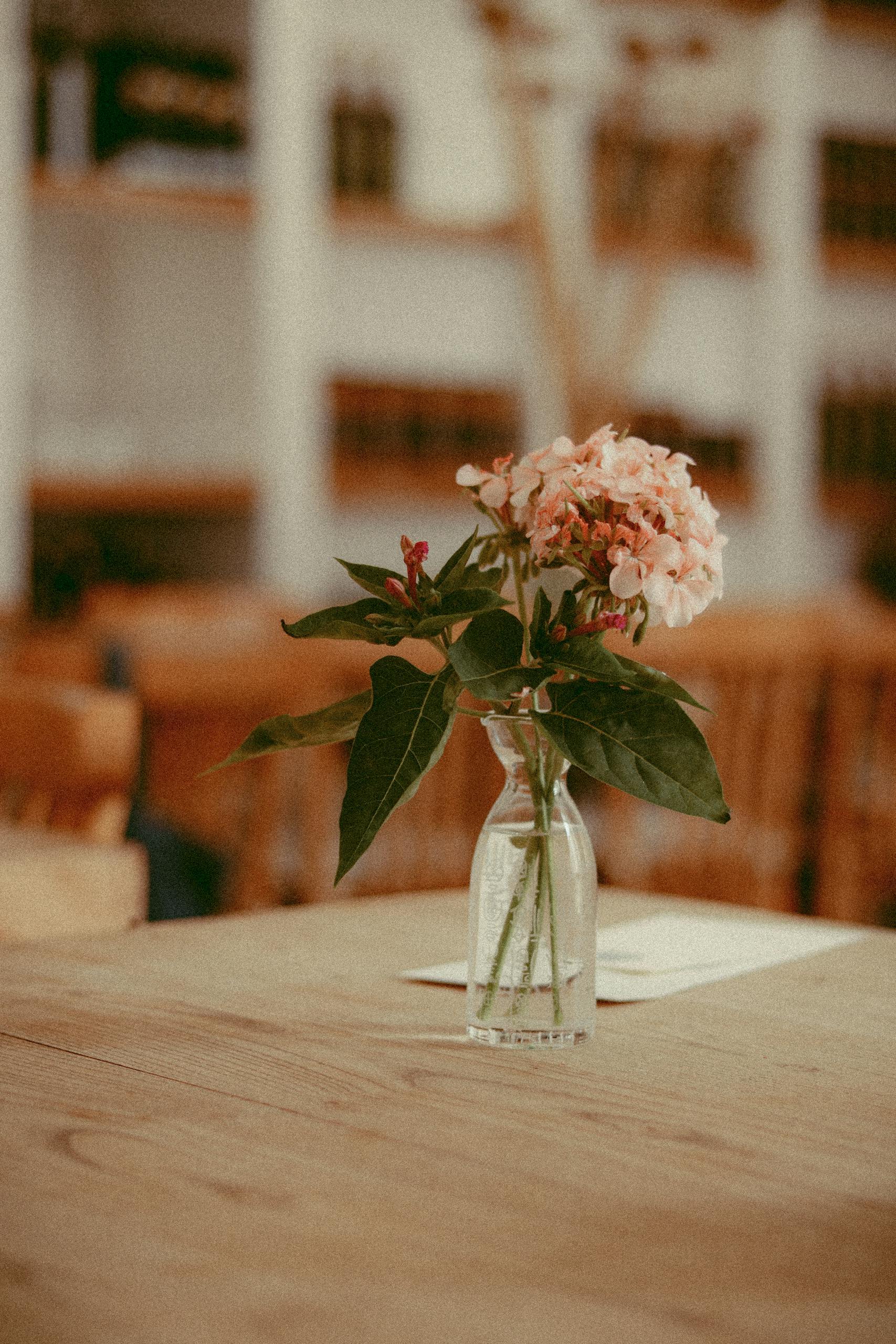 Charming pink flowers in a glass vase on a wooden table, creating a warm and inviting atmosphere.