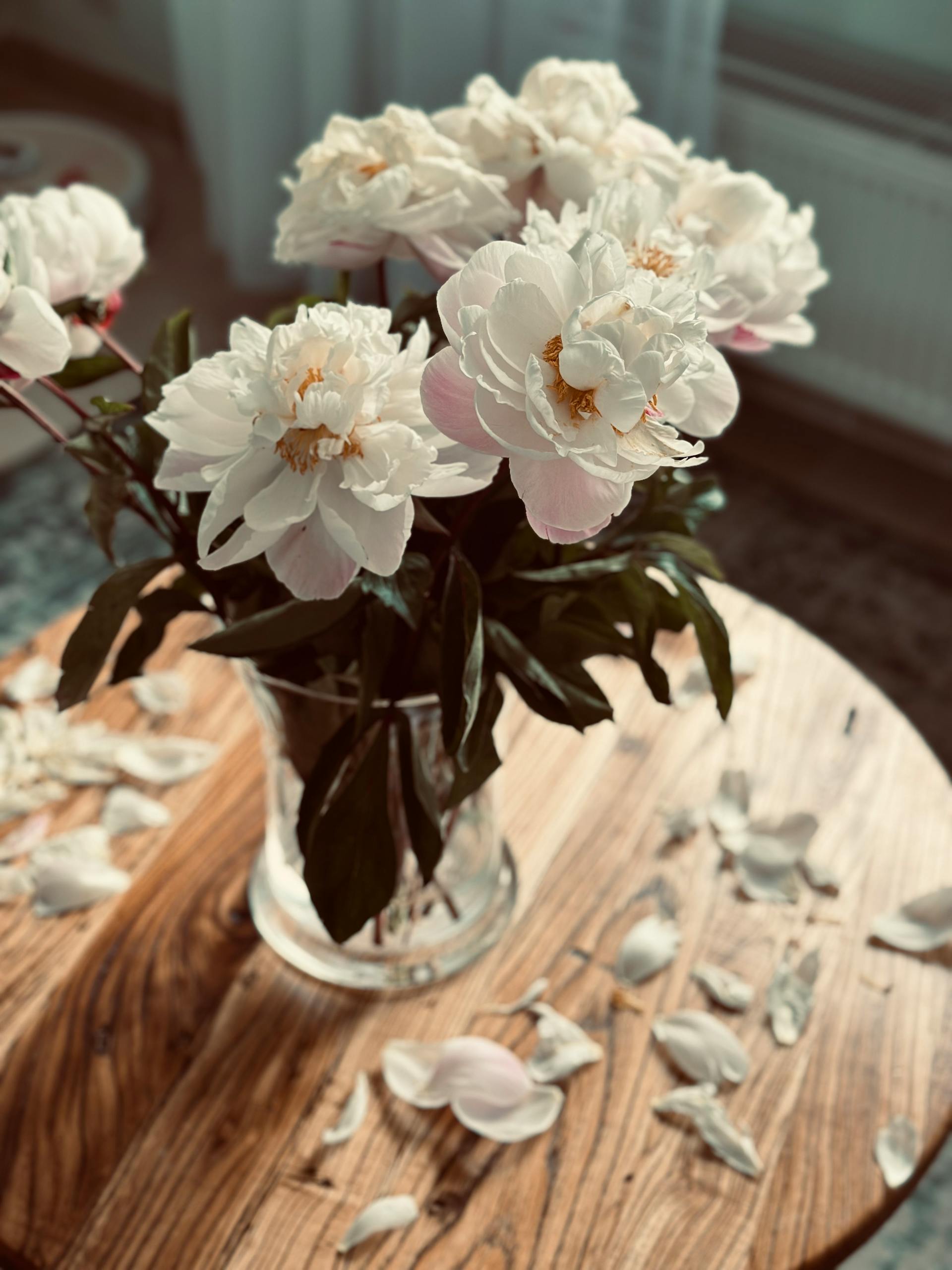 Delicate white peonies in a glass vase elegantly arranged on a rustic wooden table.